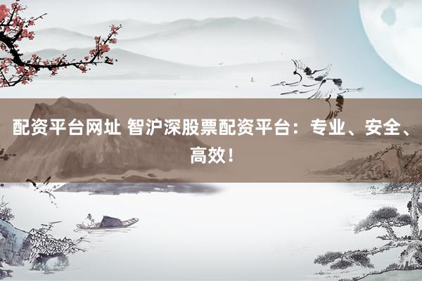 配资平台网址 智沪深股票配资平台：专业、安全、高效！
