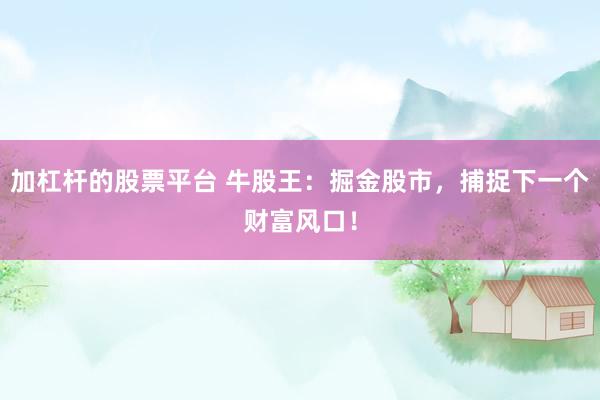 加杠杆的股票平台 牛股王：掘金股市，捕捉下一个财富风口！