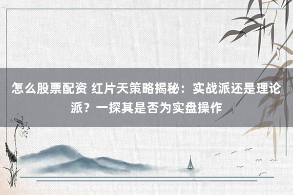 怎么股票配资 红片天策略揭秘：实战派还是理论派？一探其是否为实盘操作