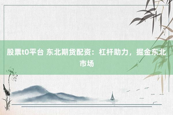 股票t0平台 东北期货配资：杠杆助力，掘金东北市场
