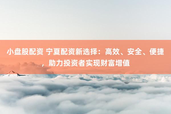 小盘股配资 宁夏配资新选择：高效、安全、便捷，助力投资者实现财富增值