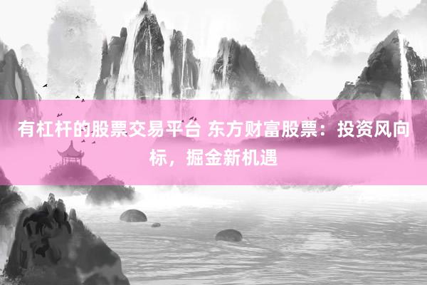 有杠杆的股票交易平台 东方财富股票：投资风向标，掘金新机遇