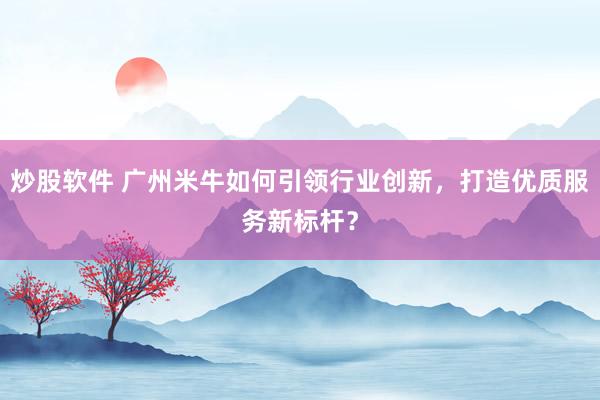 炒股软件 广州米牛如何引领行业创新，打造优质服务新标杆？