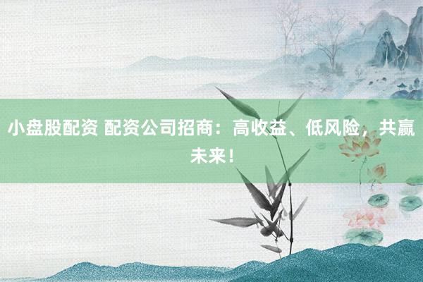 小盘股配资 配资公司招商：高收益、低风险，共赢未来！