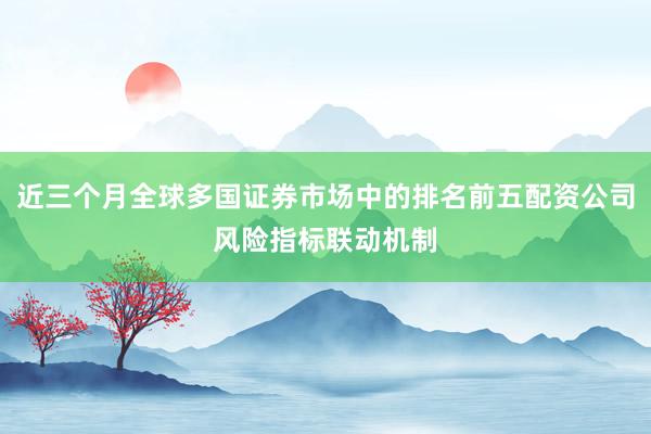 近三个月全球多国证券市场中的排名前五配资公司风险指标联动机制