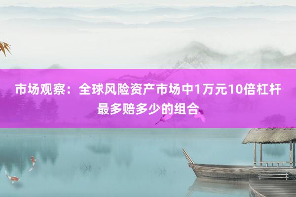 市场观察：全球风险资产市场中1万元10倍杠杆最多赔多少的组合