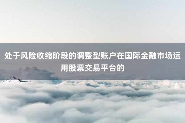 处于风险收缩阶段的调整型账户在国际金融市场运用股票交易平台的